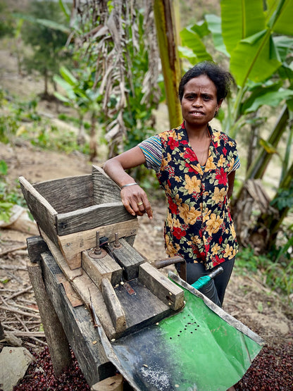 Timor-Leste Eratoi