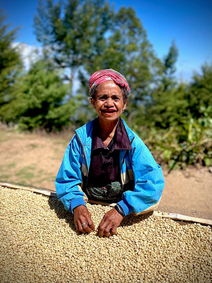 Timor-Leste Eratoi